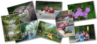 photo collage for Cave Country Canoes